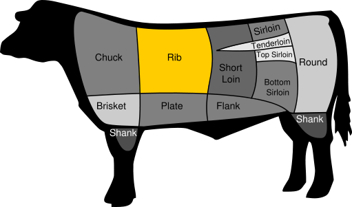 rib