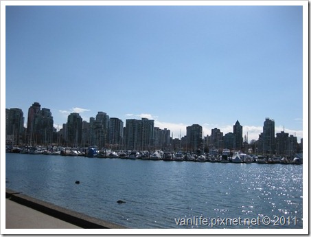 IMG_7155 IMG_7155