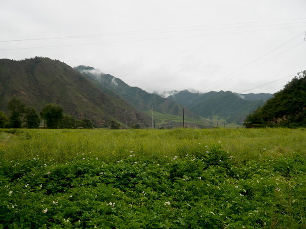 0808互助往海北路上01.jpg