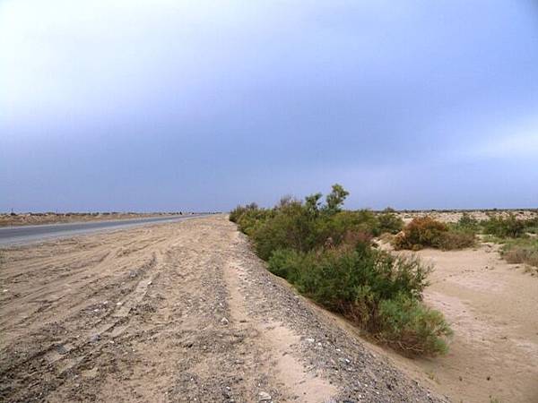 庫爾勒 沙漠公路 01