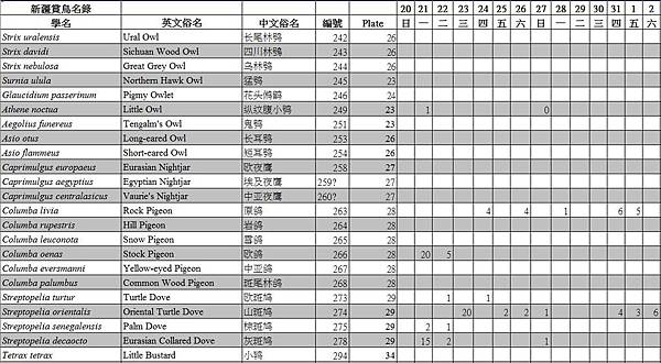 鳥種記錄04