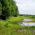 03菲律賓蘇比克灣07Candaba Marsh.JPG