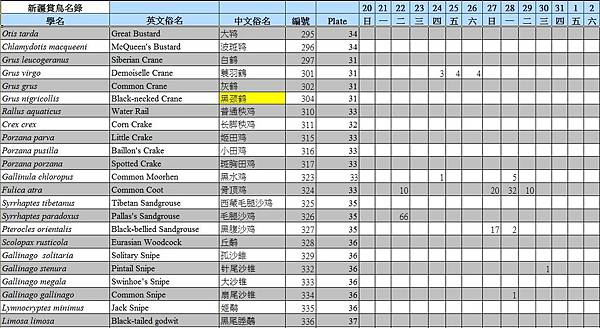 鳥種記錄05.jpg