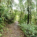 FHNP18Hemmant Trail.JPG