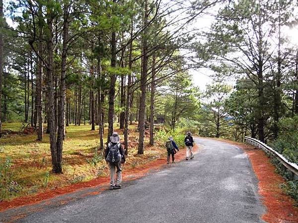 01Dalat 01Mount Lang Biang05.JPG