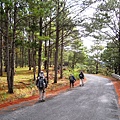 01Dalat 01Mount Lang Biang05.JPG