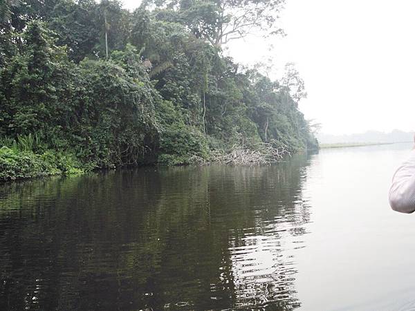 050e Tambopata  Tres Chimbadas Lake08.JPG