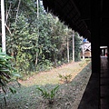 050d Tambopata  Posada Amazonas11.JPG