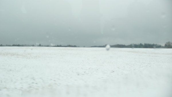 今天下了大雪~~