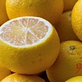 LEMON-4187