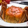 CRAB-1439.jpg