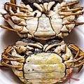 CRAB-1456.jpg