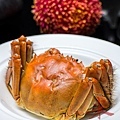 CRAB-1436.jpg