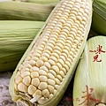 CORN-7880.jpg