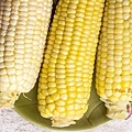 CORN-7892.jpg