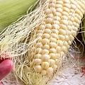 CORN-7885.jpg