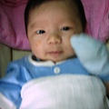 joon yick -0-2 month 235.jpg