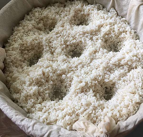 新手不失敗的 超q油飯 作法 糯米飯用蒸與煮的水量與作法 幸福甜甜圈 痞客邦 新手不失敗的 超q油飯 作法 糯米飯用蒸與煮的水量與作法 幸福甜甜圈 痞客邦