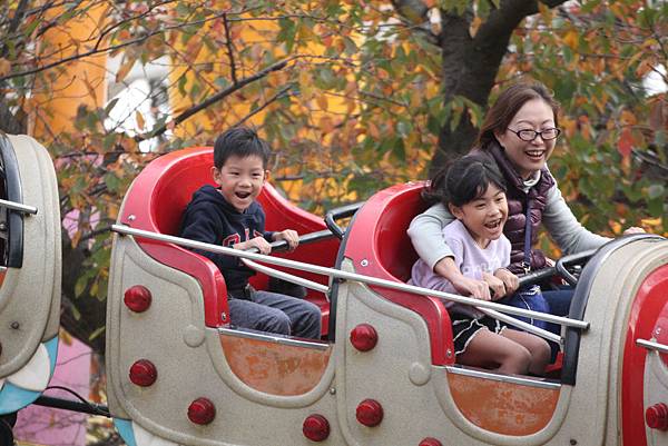 IMG_6088 IMG_6088