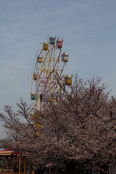IMG_1567 IMG_1567