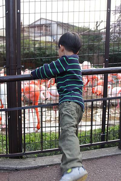 IMG_1589 IMG_1589