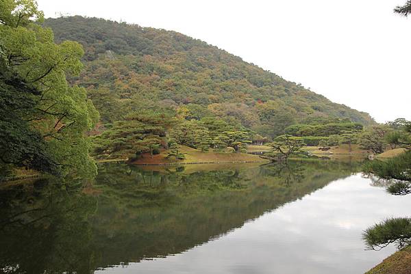 IMG_6317 IMG_6317