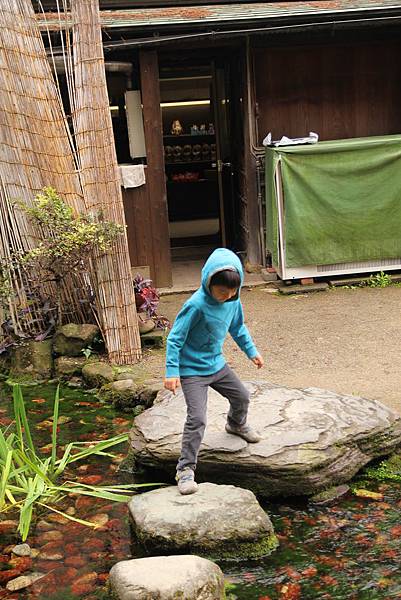 IMG_6444 IMG_6444