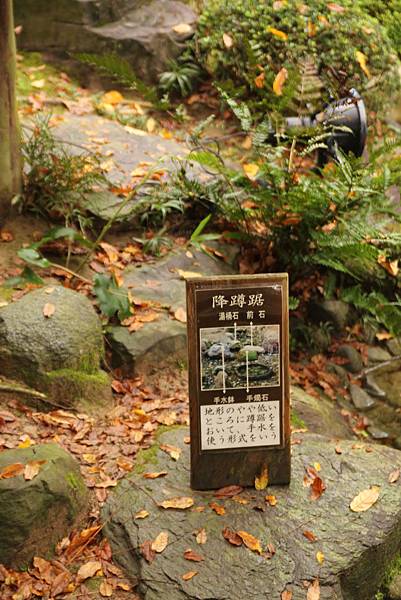 IMG_6516 IMG_6516