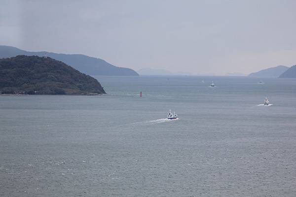 IMG_7319 IMG_7319