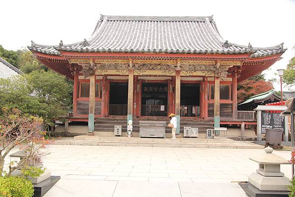 IMG_6595 IMG_6595