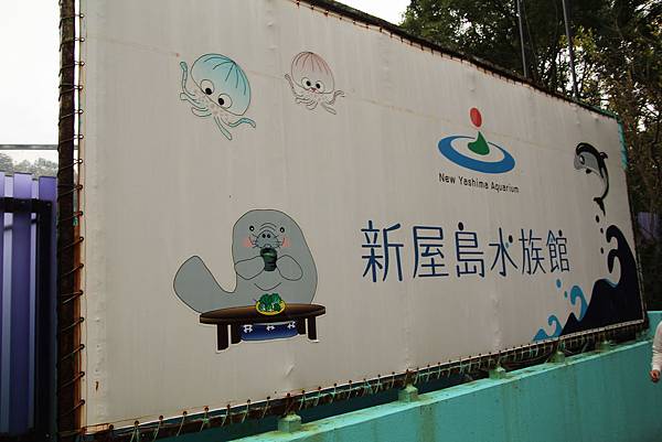 IMG_6625 IMG_6625