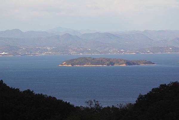 IMG_6960 IMG_6960
