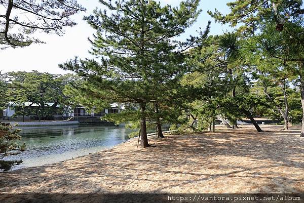 <東香川景點> 藍天、碧海、白砂、青松的琴林公園（津田の松原