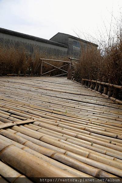 <小豆島> 竹子做的海膽：Beyond the Border