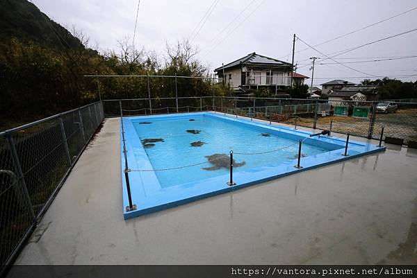 <高知室戶> 室戶廢校水族館