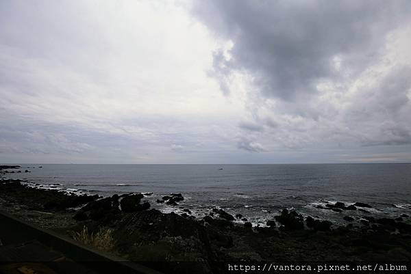 <高知室戶景點> 鯨館