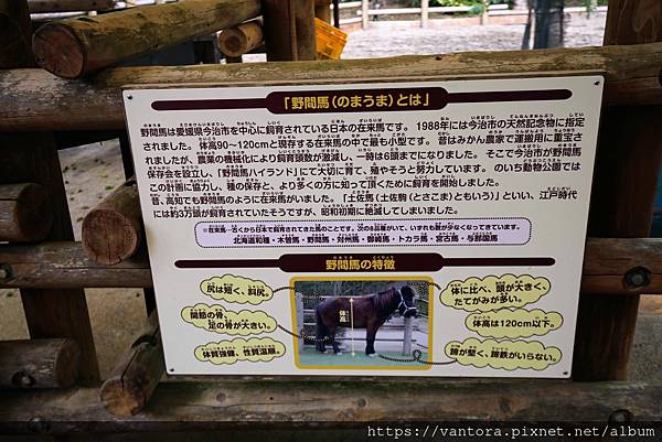 <高知景點> 高知野市動物園