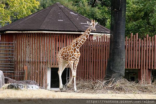 <高知景點> 高知縣立野市動物園