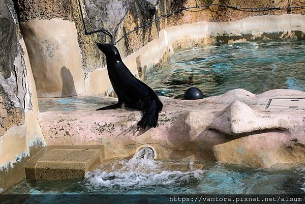 <高知景點> 高知縣立野市動物園