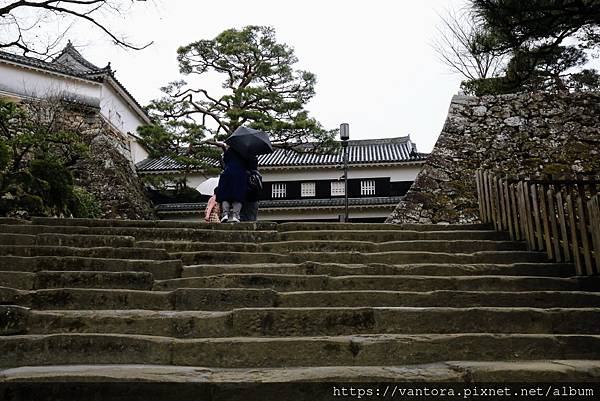 <高知景點> 高知城 & 高知城歷史博物館