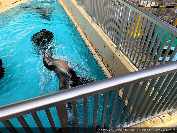 <高知景點> 桂濱水族館 & 高知縣立坂本龍馬紀念館