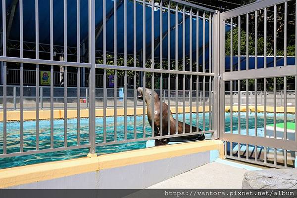 <高知景點> 桂濱水族館 & 高知縣立坂本龍馬紀念館