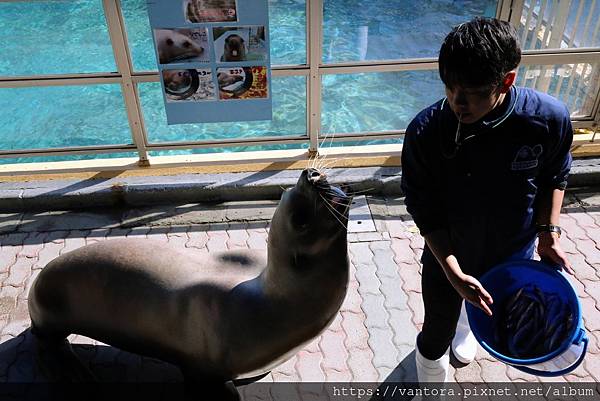 <高知景點> 桂濱水族館 & 高知縣立坂本龍馬紀念館