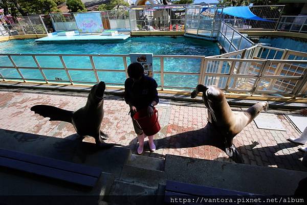 <高知景點> 桂濱水族館 & 高知縣立坂本龍馬紀念館