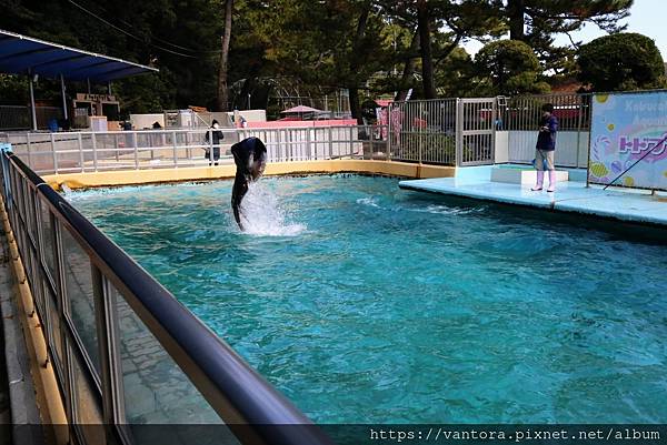 <高知景點> 桂濱水族館 & 高知縣立坂本龍馬紀念館