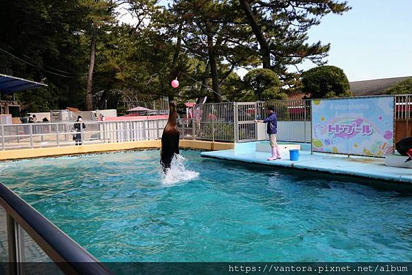 <高知景點> 桂濱水族館 & 高知縣立坂本龍馬紀念館