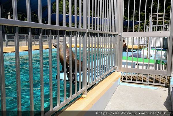 <高知景點> 桂濱水族館 & 高知縣立坂本龍馬紀念館