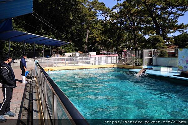 <高知景點> 桂濱水族館 & 高知縣立坂本龍馬紀念館