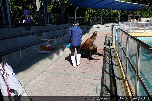 <高知景點> 桂濱水族館 & 高知縣立坂本龍馬紀念館