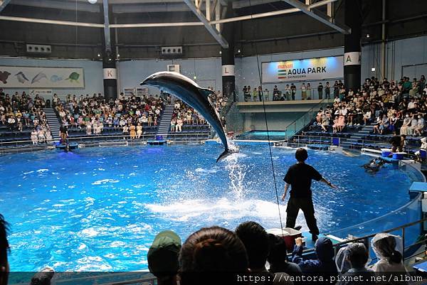 東京水族館巡禮：陽光水族館、墨田水族館、品川水族館 Maxe